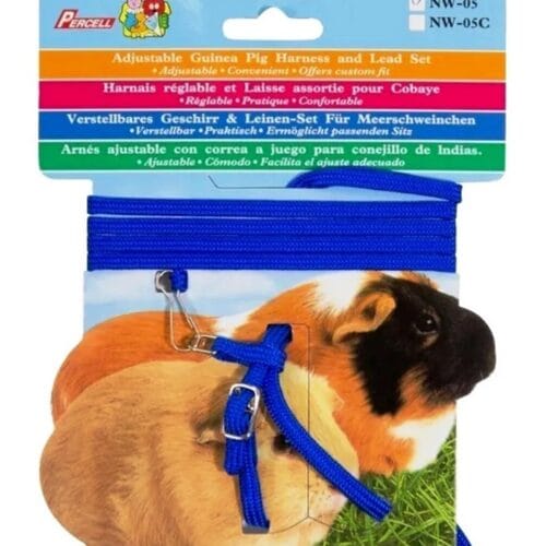 Guinea pig harness – safe and adjustable harness for small pets