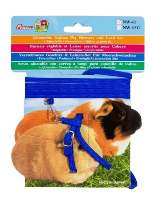 Guinea pig harness – safe and adjustable harness for small pets
